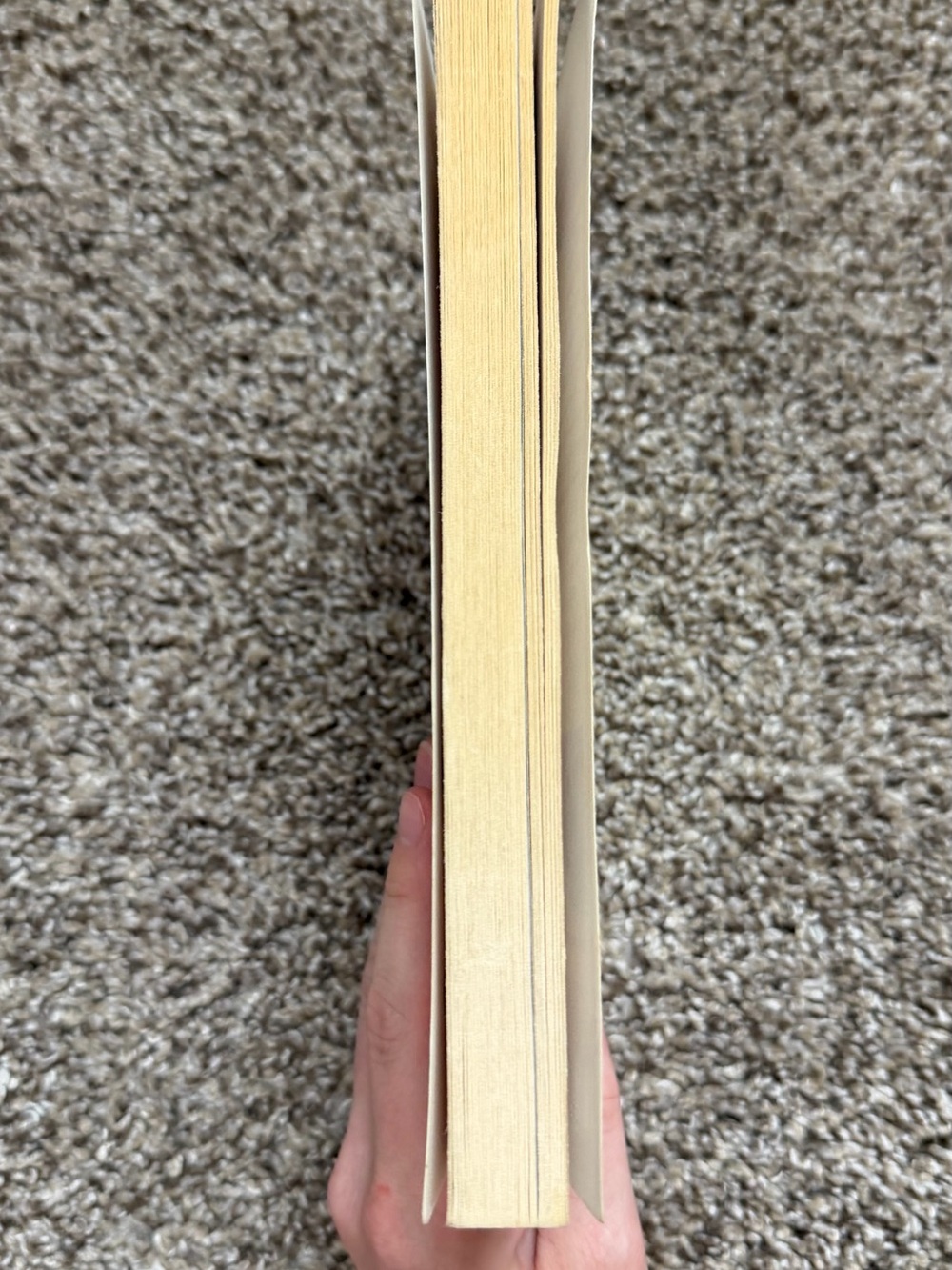 Decoding The Lost Symbol Book - Picture 2 of 4